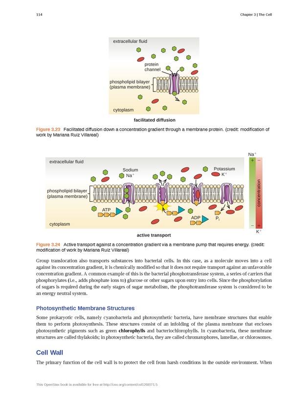 Microbiology - Front Matter 124