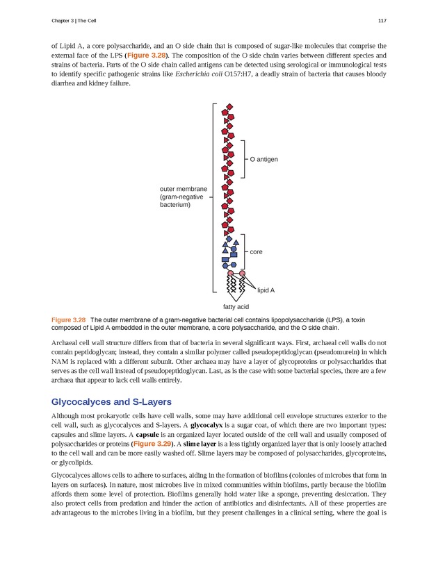 Microbiology - Front Matter 127