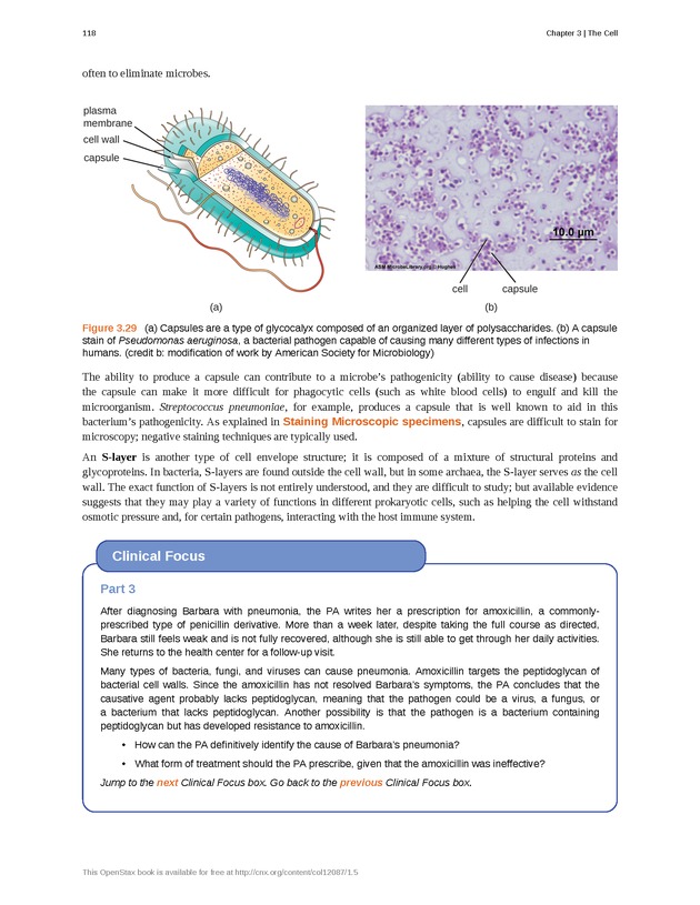 Microbiology - Front Matter 128