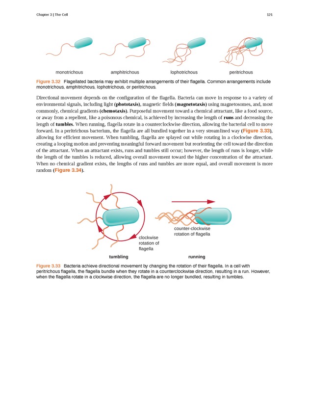 Microbiology - Front Matter 131