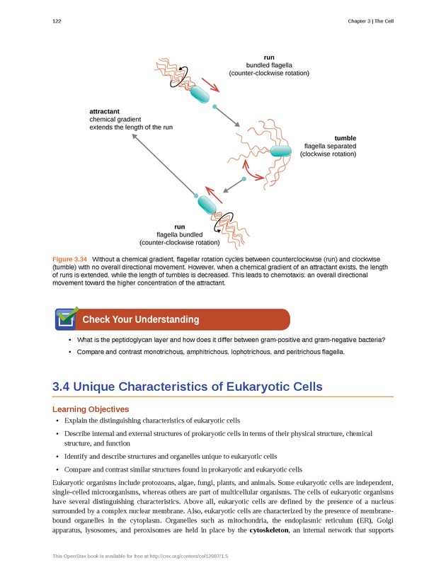 Microbiology - Front Matter 132