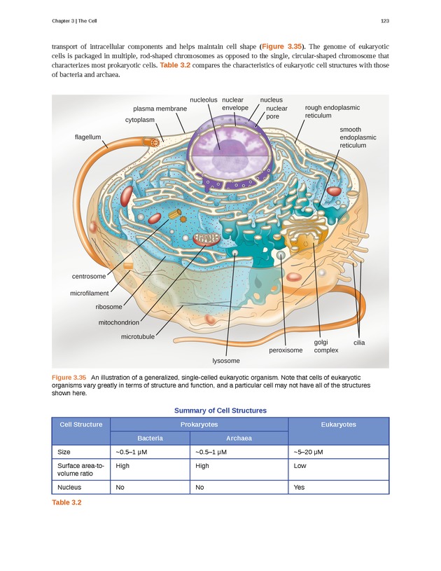 Microbiology - Front Matter 133