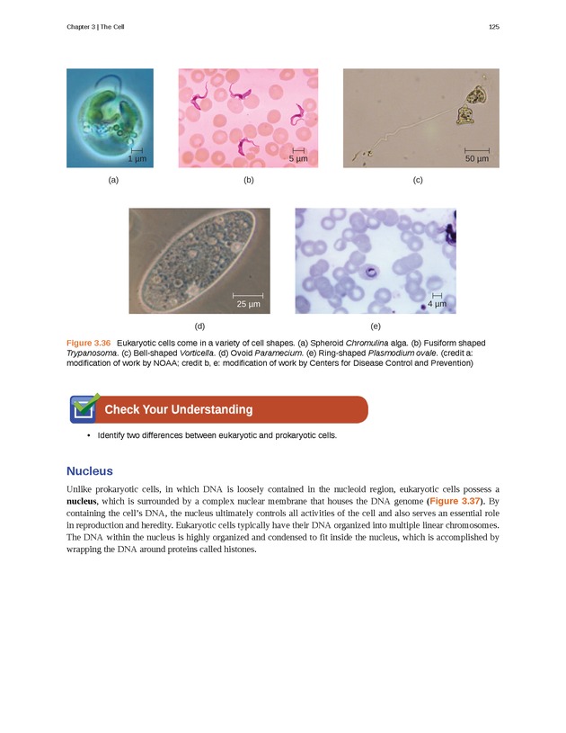 Microbiology - Front Matter 135