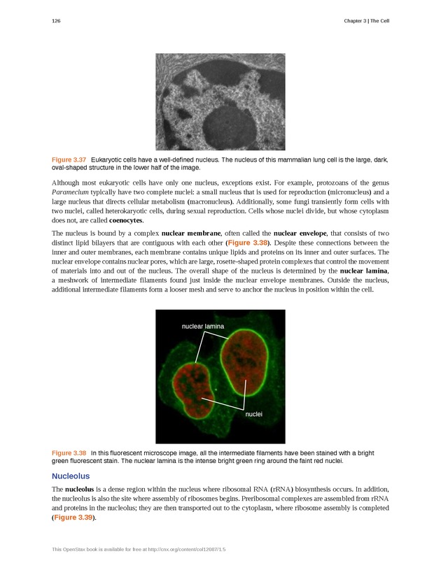 Microbiology - Front Matter 136