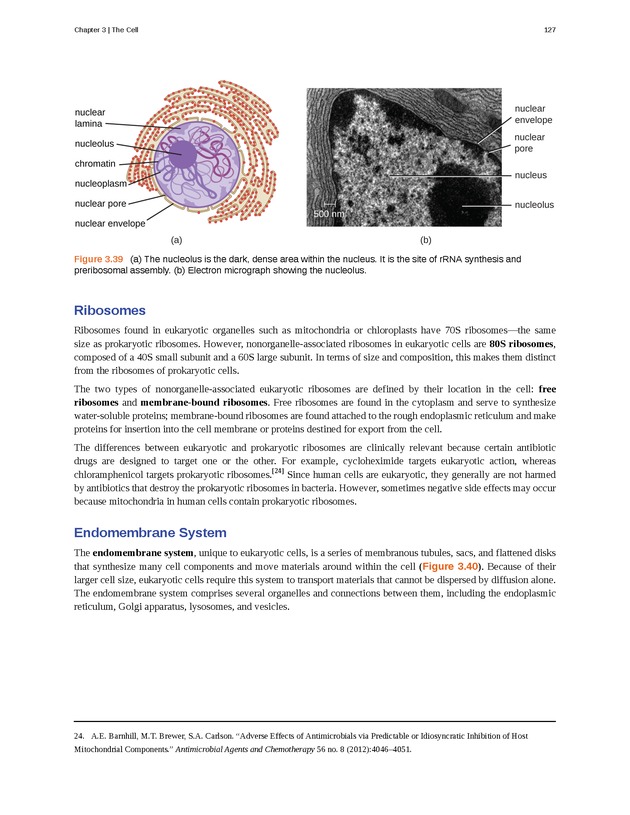 Microbiology - Front Matter 137