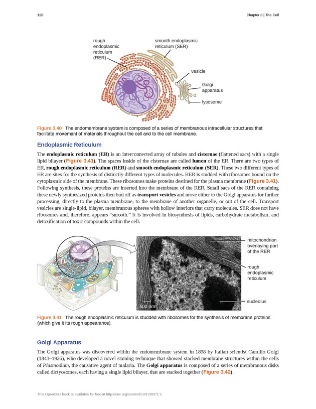 Microbiology - Front Matter 138