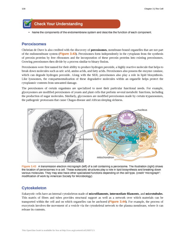 Microbiology - Front Matter 140