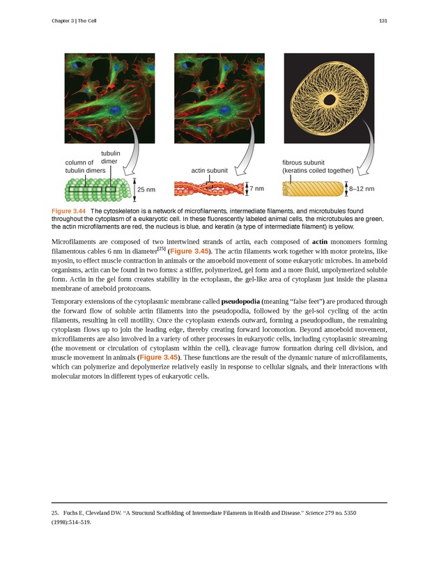 Microbiology - Front Matter 141