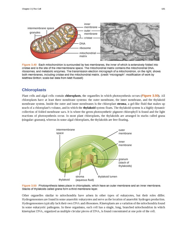 Microbiology - Front Matter 145