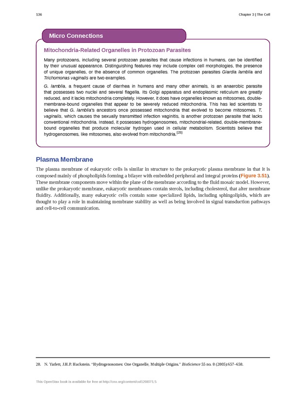 Microbiology - Front Matter 146