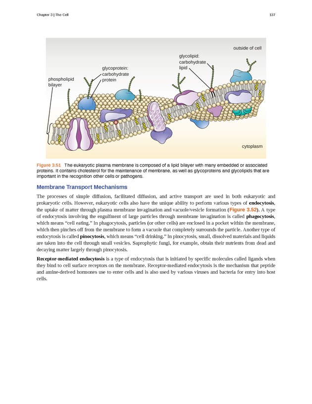 Microbiology - Front Matter 147