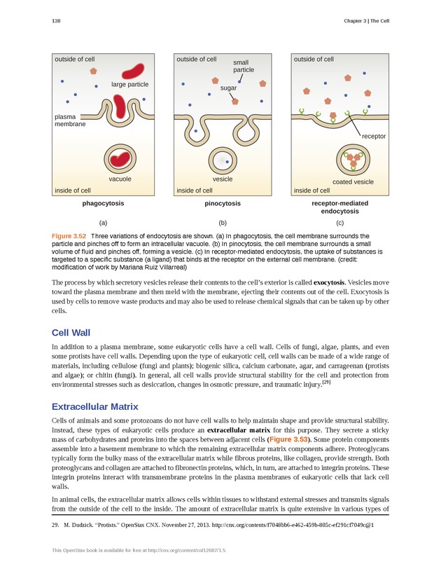 Microbiology - Front Matter 148