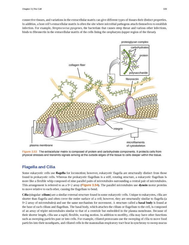 Microbiology - Front Matter 149