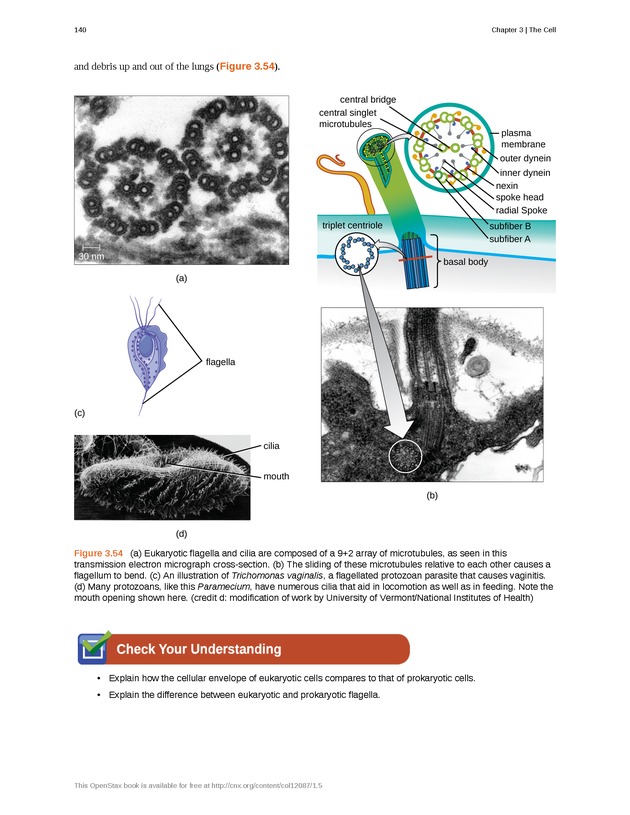 Microbiology - Front Matter 150