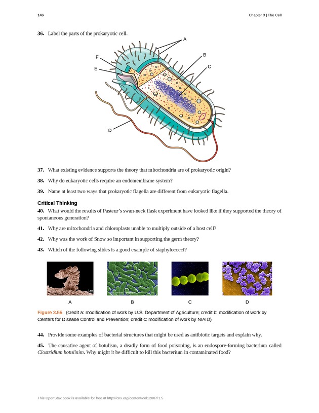 Microbiology - Front Matter 156
