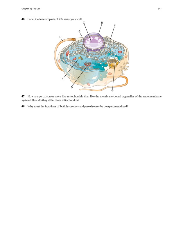 Microbiology - Front Matter 157