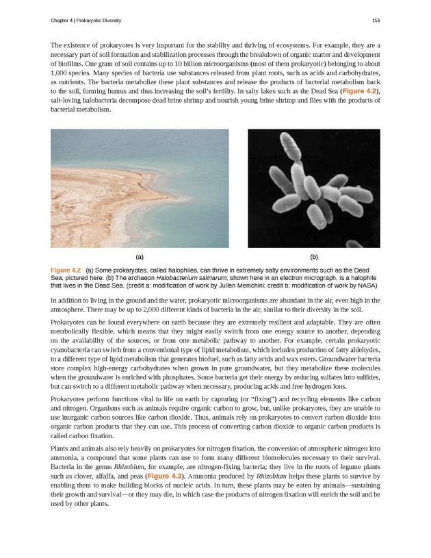 Microbiology - Front Matter 161