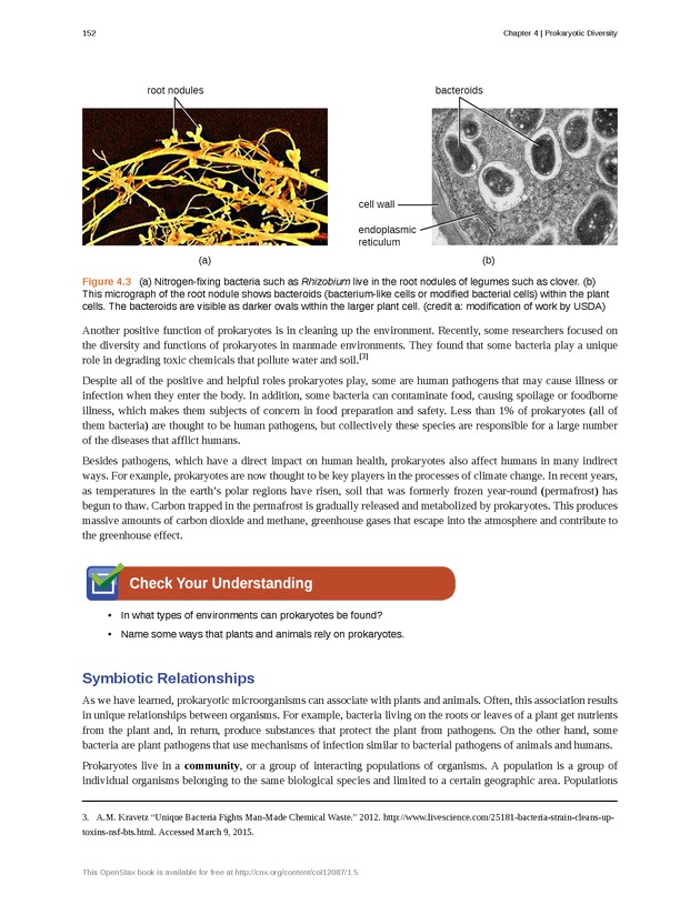 Microbiology - Front Matter 162
