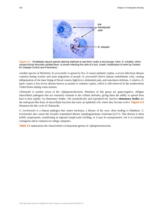Microbiology - Front Matter 168