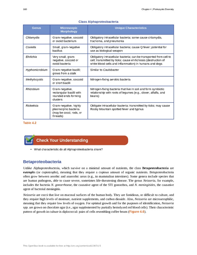 Microbiology - Front Matter 170