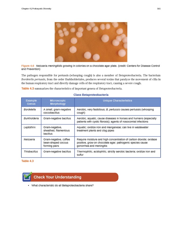 Microbiology - Front Matter 171