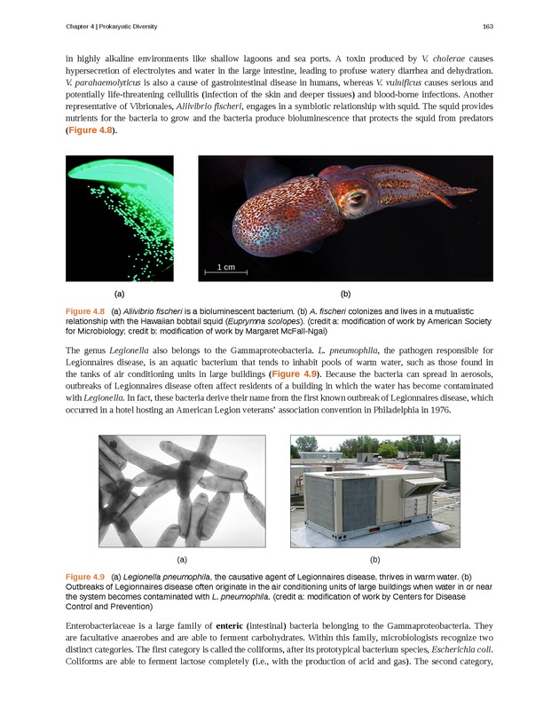 Microbiology - Front Matter 173