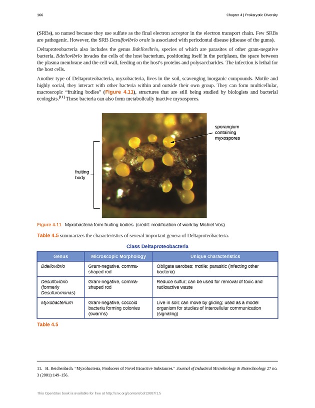 Microbiology - Front Matter 176