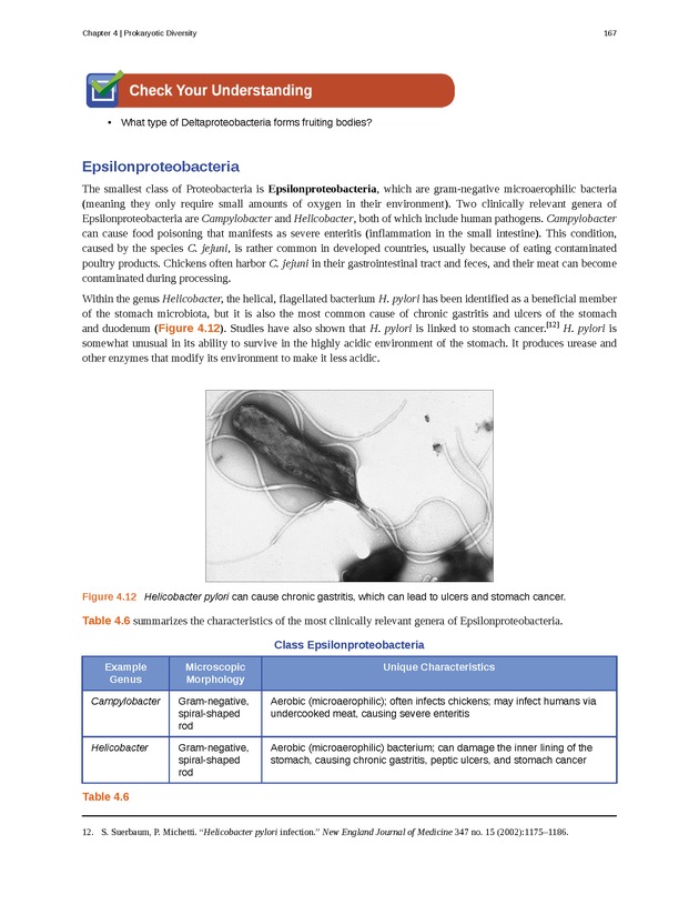 Microbiology - Front Matter 177