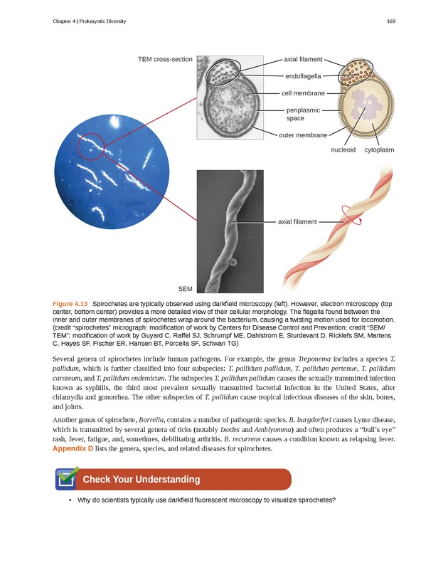 Microbiology - Front Matter 179