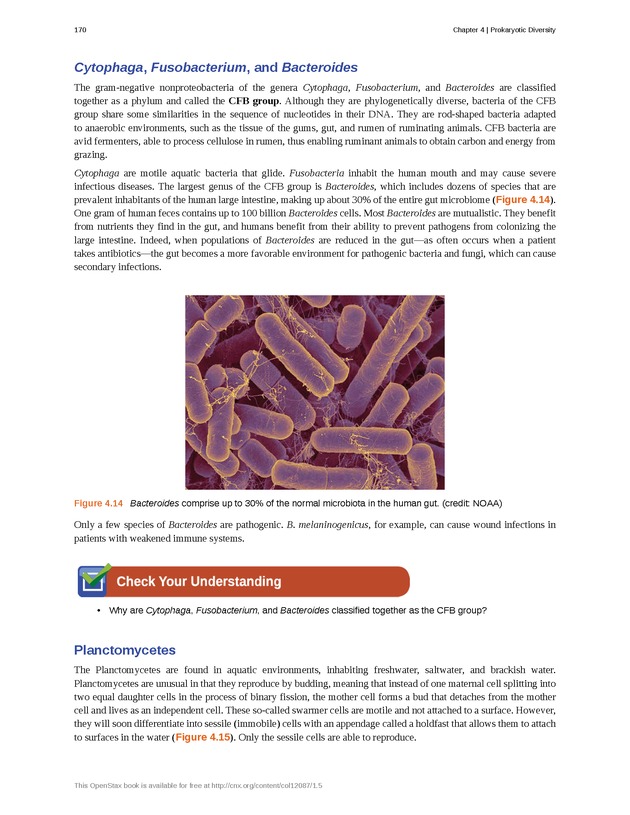 Microbiology - Front Matter 180