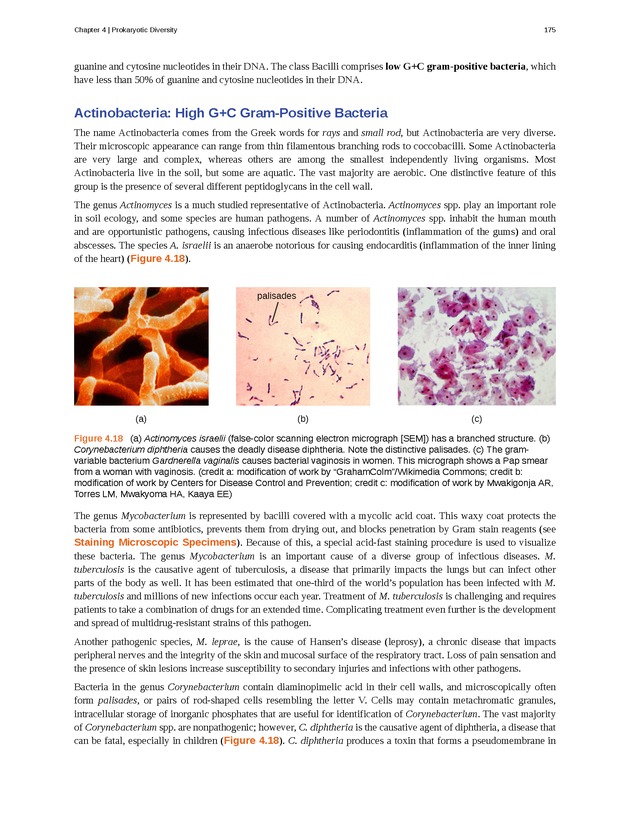 Microbiology - Front Matter 185