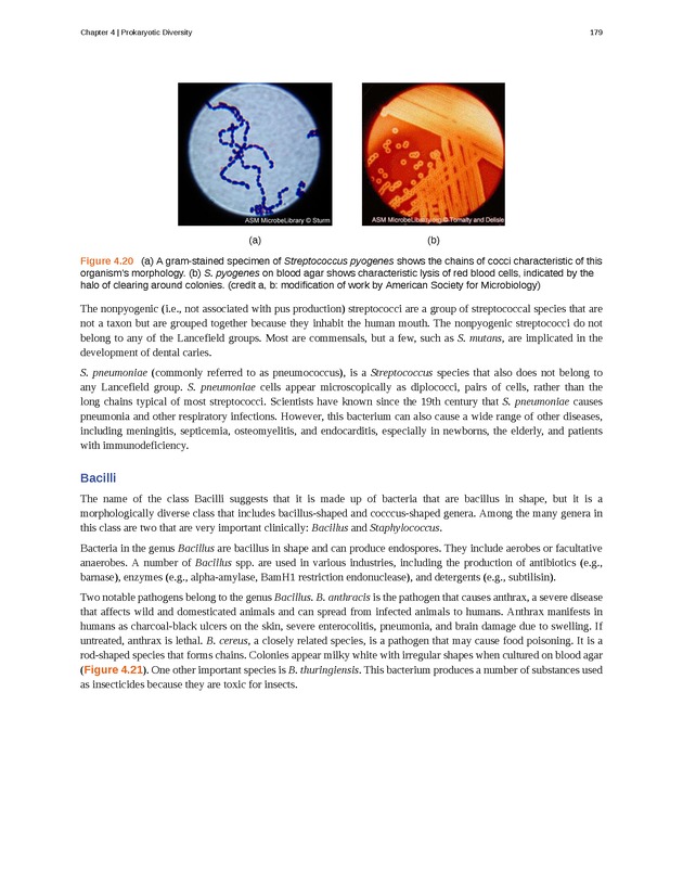 Microbiology - Front Matter 189