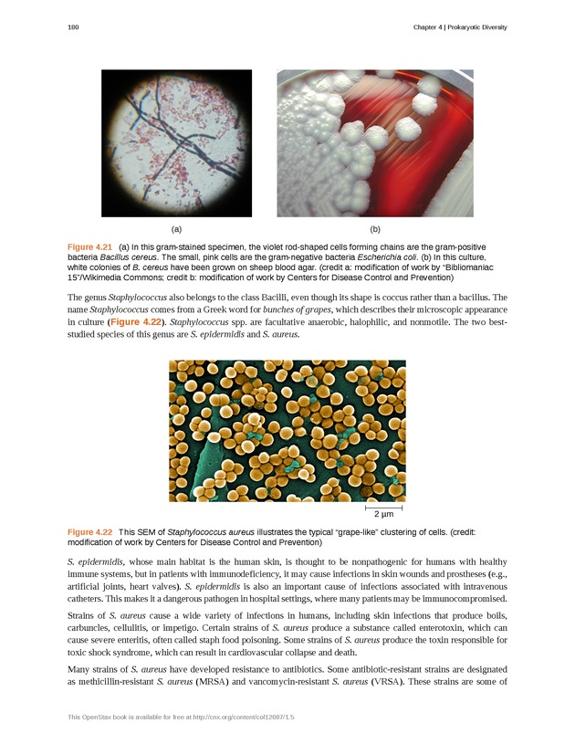 Microbiology - Front Matter 190