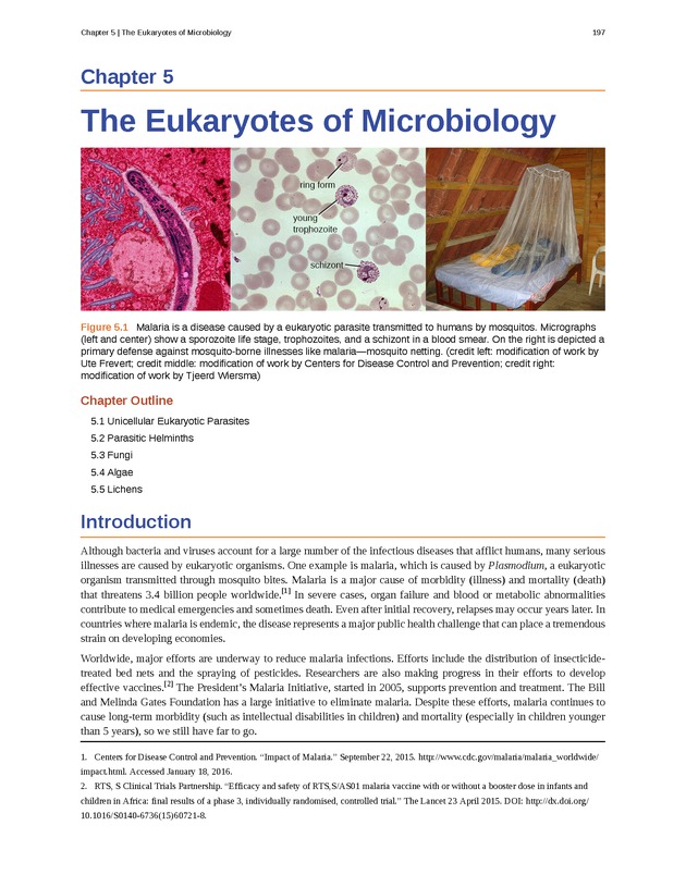 Microbiology - Front Matter 207