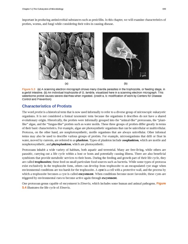 Microbiology - Front Matter 209