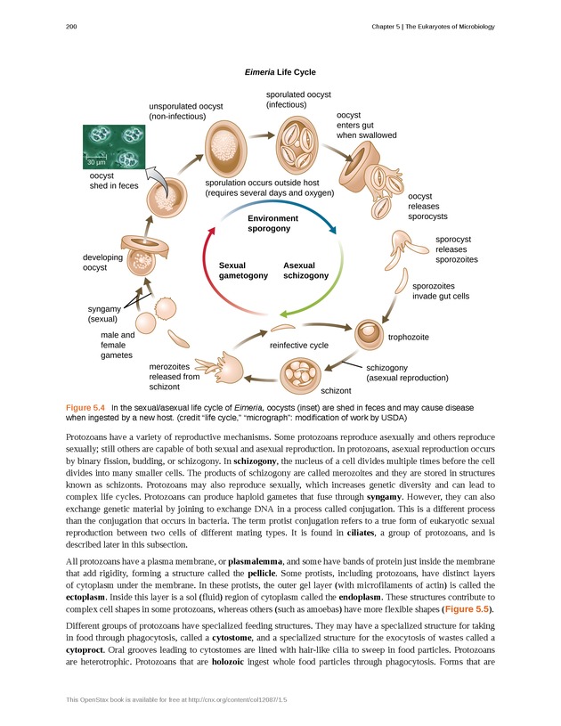 Microbiology - Front Matter 210