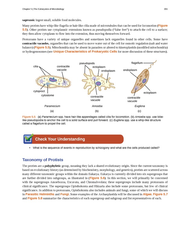 Microbiology - Front Matter 211