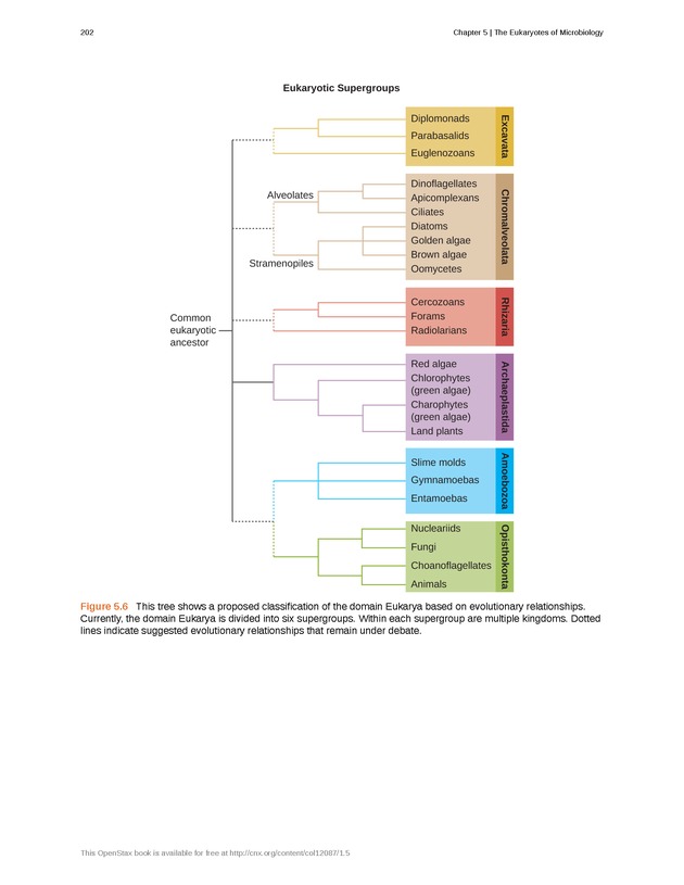 Microbiology - Front Matter 212