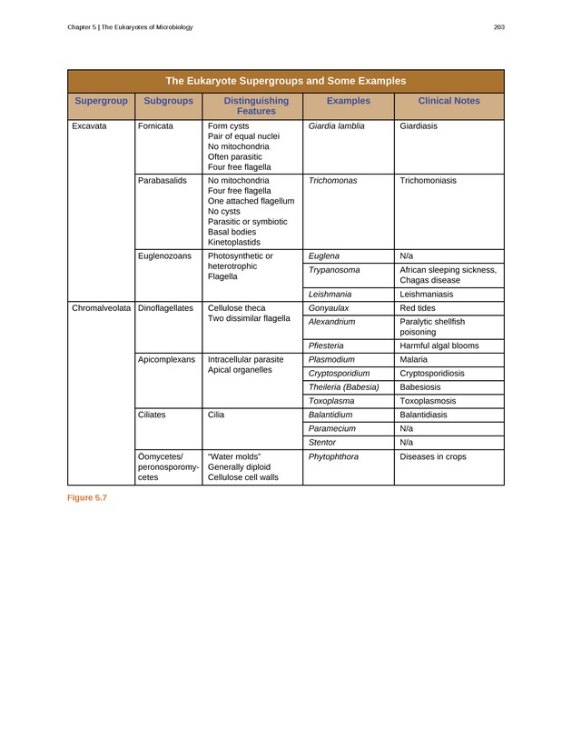 Microbiology - Front Matter 213