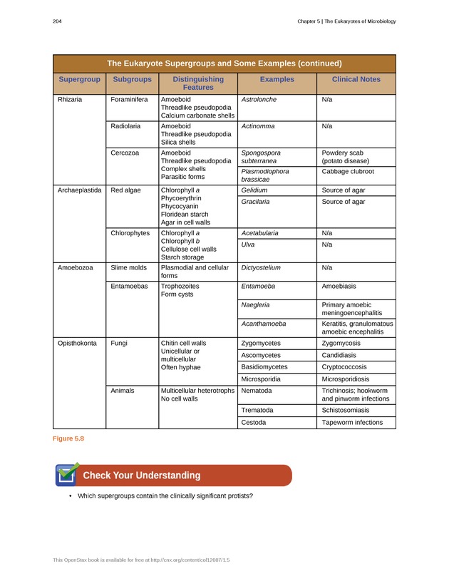 Microbiology - Front Matter 214