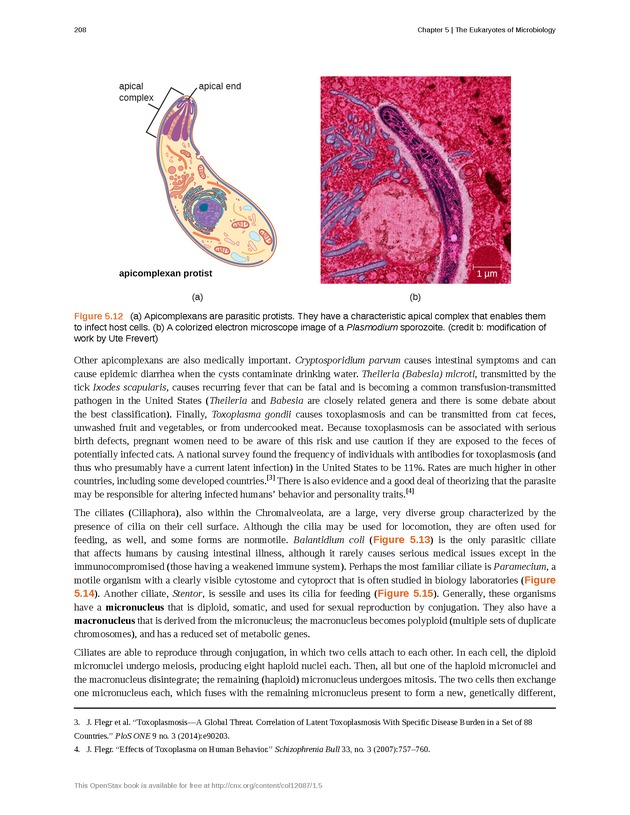 Microbiology - Front Matter 218