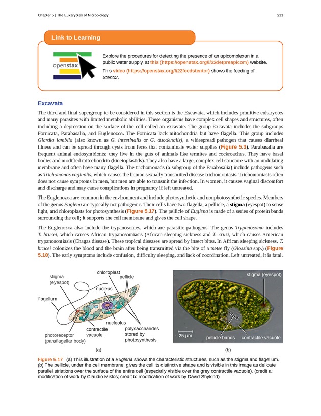 Microbiology - Front Matter 221