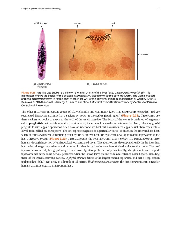 Microbiology - Front Matter 227