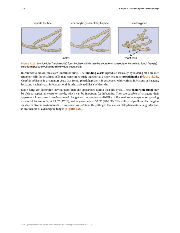 Microbiology - Front Matter 232