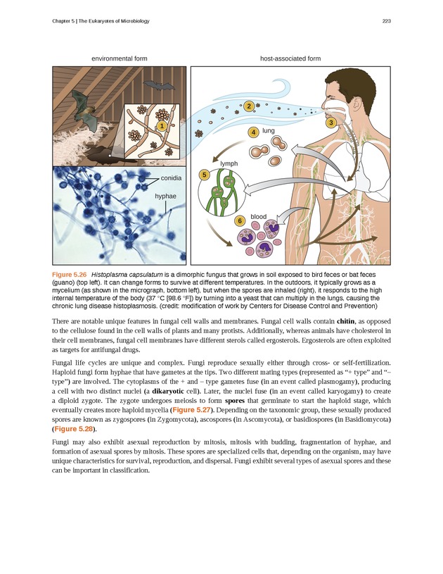 Microbiology - Front Matter 233