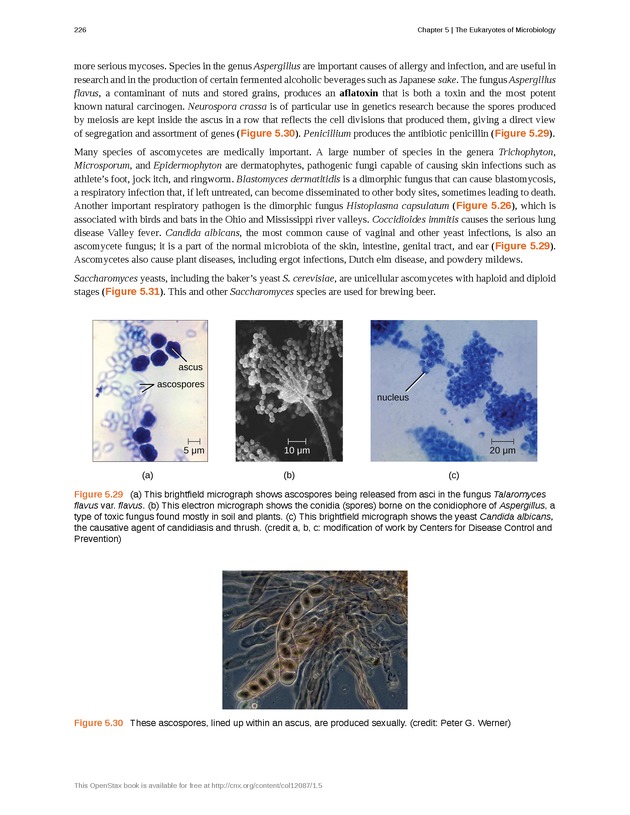 Microbiology - Front Matter 236