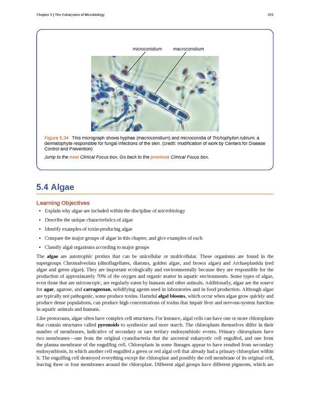 Microbiology - Front Matter 241