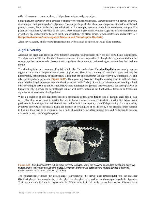 Microbiology - Front Matter 242
