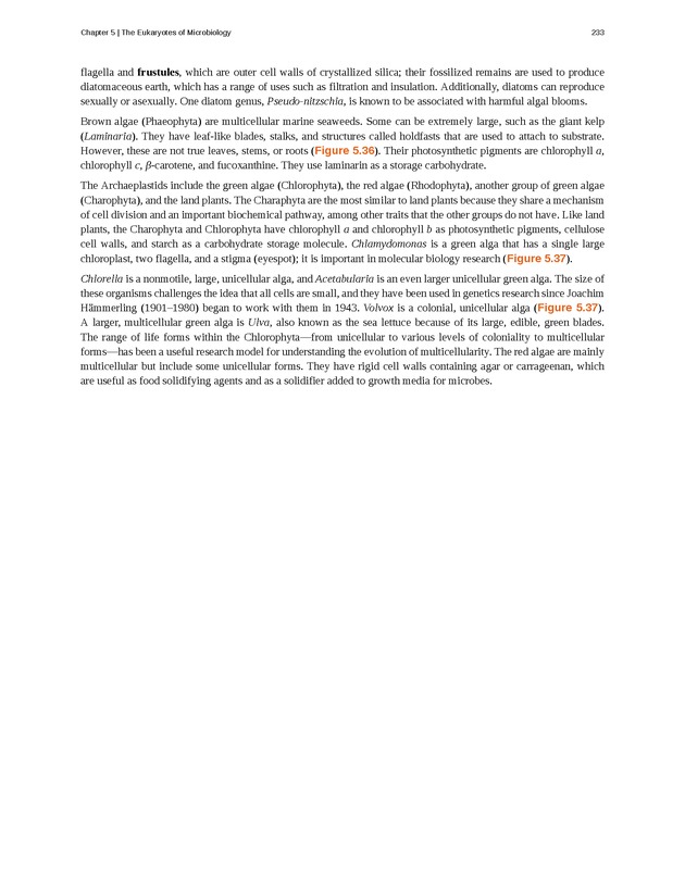 Microbiology - Front Matter 243