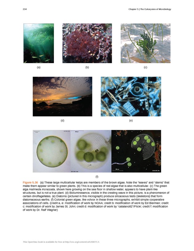 Microbiology - Front Matter 244